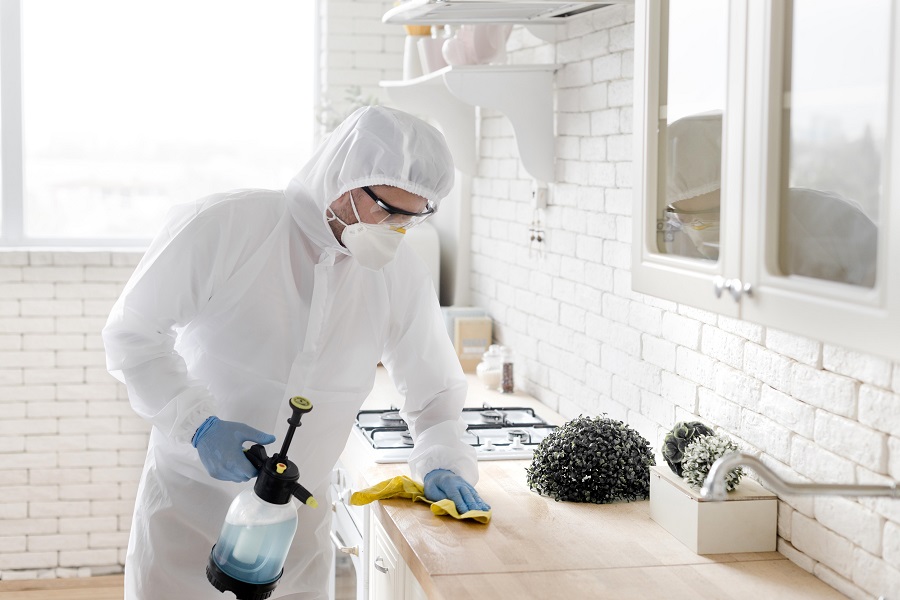 A Full Hawx Pest Control Review for Homeowners and Businesses